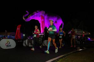 BIB: 
                            <button type="button" onclick="openModal(26543505)" class="btn btn-primary btn-sm float-right btn-popup" data-toggle="modal" data-target=".modal-high-quality">
                        <i class="fas fa-shopping-cart"></i> Add to Cart
                    </button>
                                            <button type="button" onclick="isThisMe(26543505, true)" class="btn btn-success btn-sm float-right btn-popup btn-isme hidden" data-toggle="tooltip" data-placement="bottom" title="นี่คือรูปของคุณใช่ไหม คลิกที่นี่เพื่อเอาเข้าอัลบั้ม">
                        <i class="fas fa-plus"></i> Add to album
                    </button>
                    <button type="button" onclick="isThisMe(26543505, false)" class="btn btn-warning btn-sm float-right btn-popup btn-isnotme hidden">
                        <i class="fas fa-ban"></i> Remove from album
                    </button>